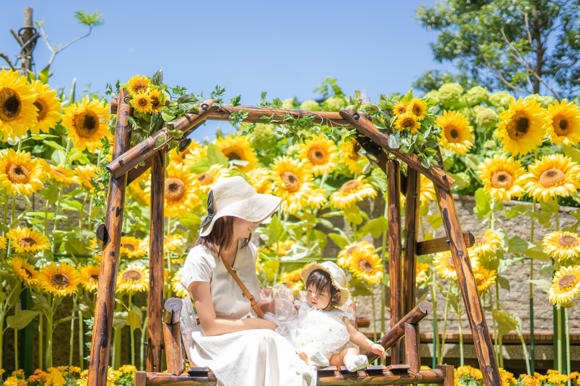 夏の日差し対策