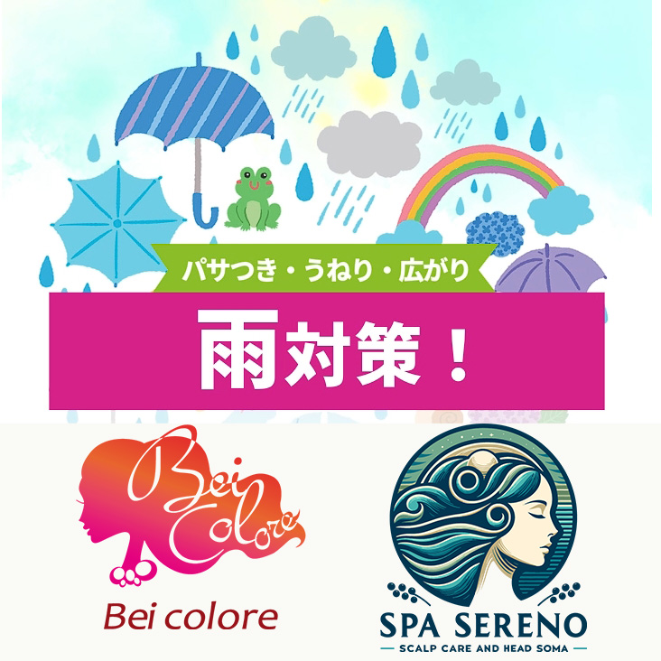 2025.6月キャンペーン